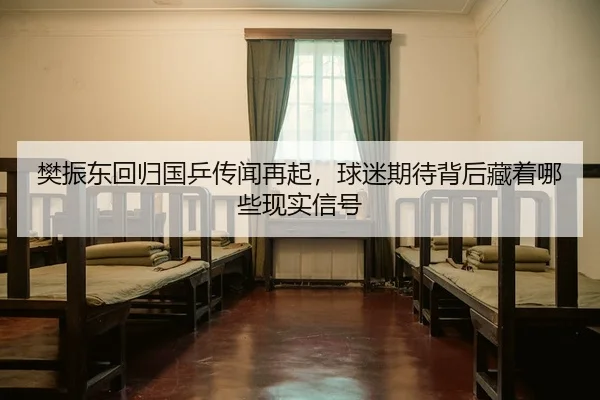樊振东回归国乒传闻再起，球迷期待背后藏着哪些现实信号